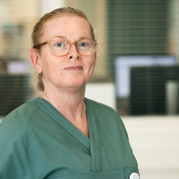 Adobe Express file 2