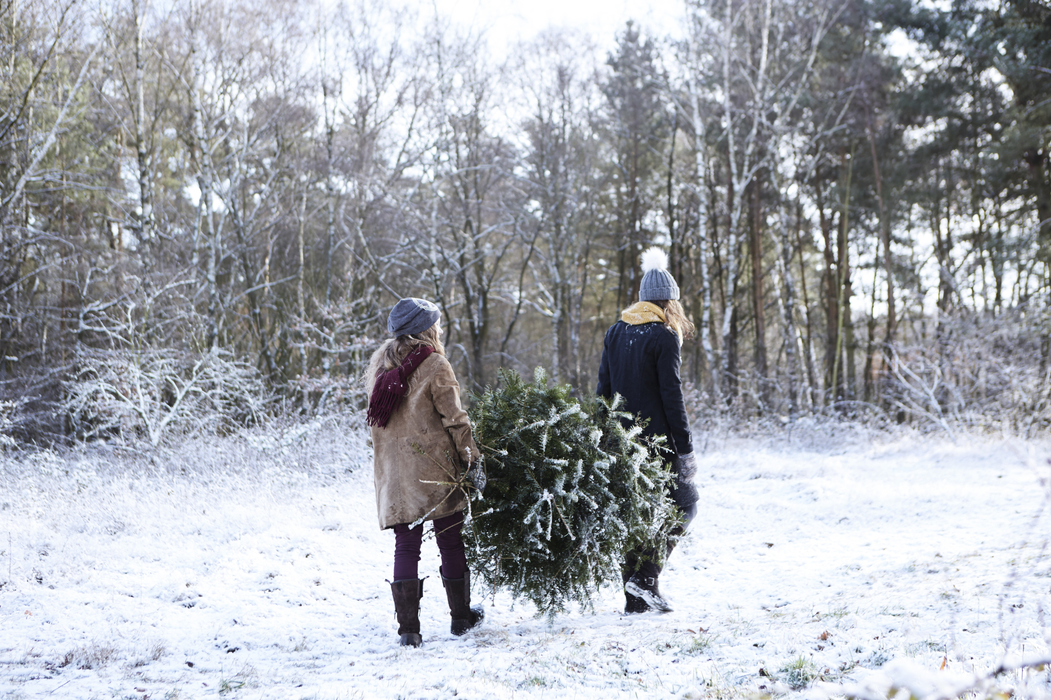 To mennesker som bærer et juletre